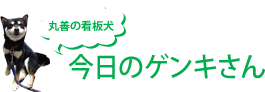 「丸善の看板犬」今日のゲンキさん