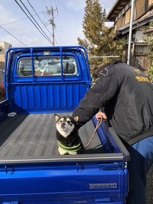 inu